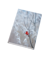 Notebook 55154 glossy with index